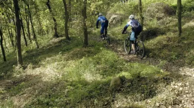 骑跑二项 骑跑二项