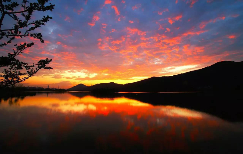 �������淨 STC�����������վ���㷢�ַ羰