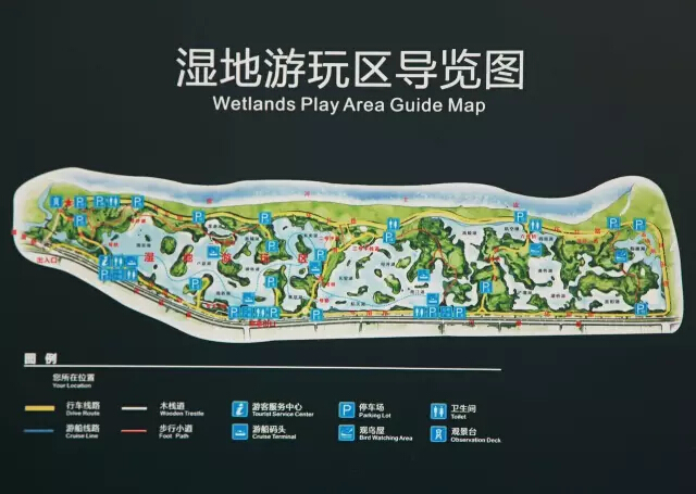 捷安特,禧玛诺,斯柯达,自行车,联赛 捷安特,禧玛诺,斯柯达,自行车,联赛