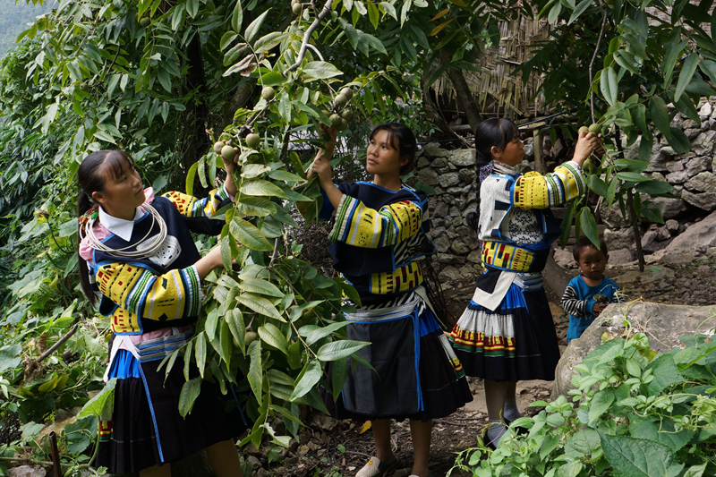 广西*广西 广西*广西