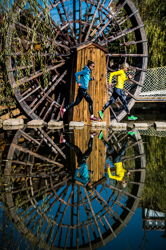 2017���������������