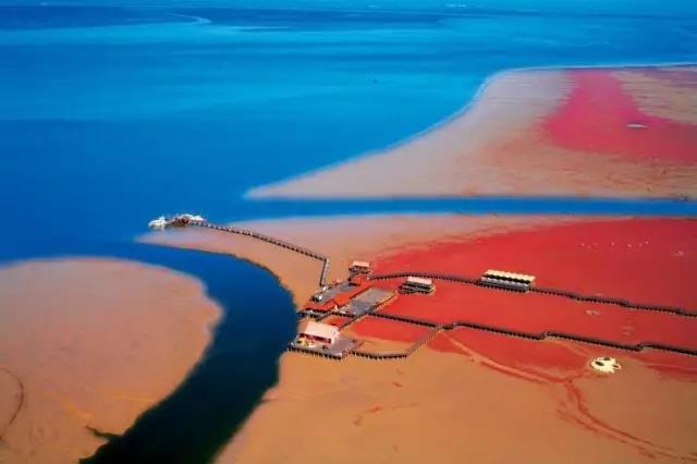 微信图片_20170619181224.jpg 微信图片_20170619181224.jpg