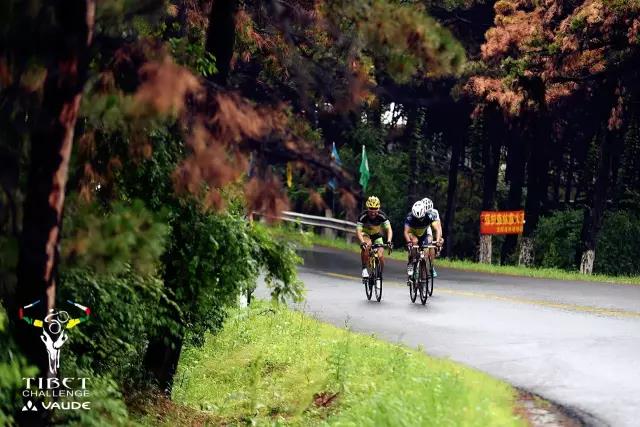 微信图片_20170619181310.jpg 微信图片_20170619181310.jpg