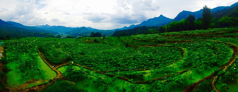 追FUN?中国自行车俱乐部联赛暨中国?建宁国际自行车公开赛 追FUN?中国自行车俱乐部联赛暨中国?建宁国际自行车公开赛