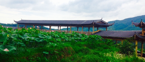 ׷FUN?�й����г����ֲ��������й�?�����������г�������