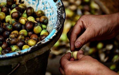 追FUN?中国自行车俱乐部联赛暨中国?建宁国际自行车公开赛 追FUN?中国自行车俱乐部联赛暨中国?建宁国际自行车公开赛