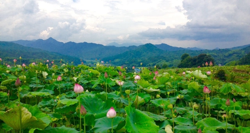 ׷FUN?�й����г����ֲ��������й�?�����������г�������