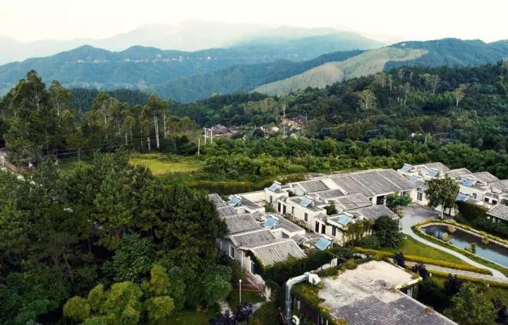 ����Ԥ��