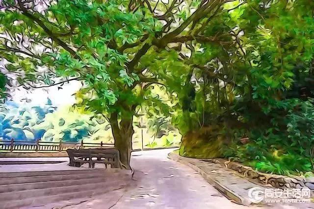 ����Ԥ��