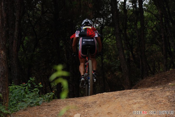 ȫ�����г�ҵ�����