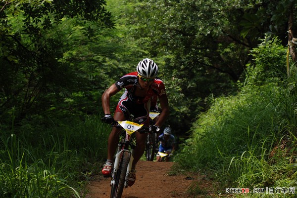 ȫ�����г�ҵ�����