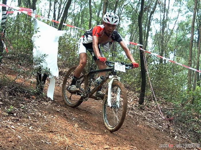 ������ŵ