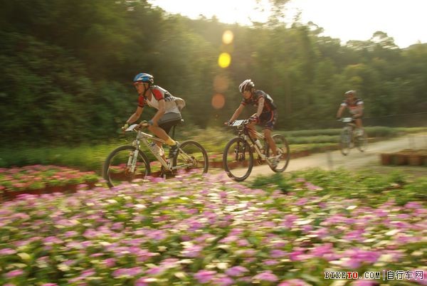 �Ǻ�&ldquo;�ݰ��ر�&rdquo;���г����껪