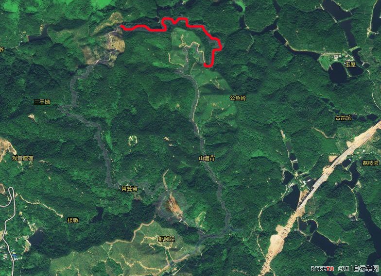 赛道 林道.jpg