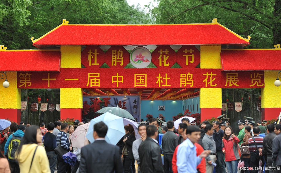 井冈山国际山地自行车赛,井冈山,山地自行车,山地车赛,杜鹃花节