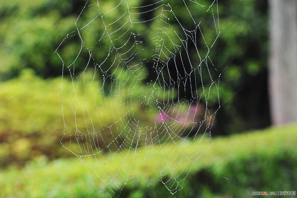 井冈山国际山地自行车赛,井冈山,山地自行车,山地车赛,湖光山色,蜘蛛网