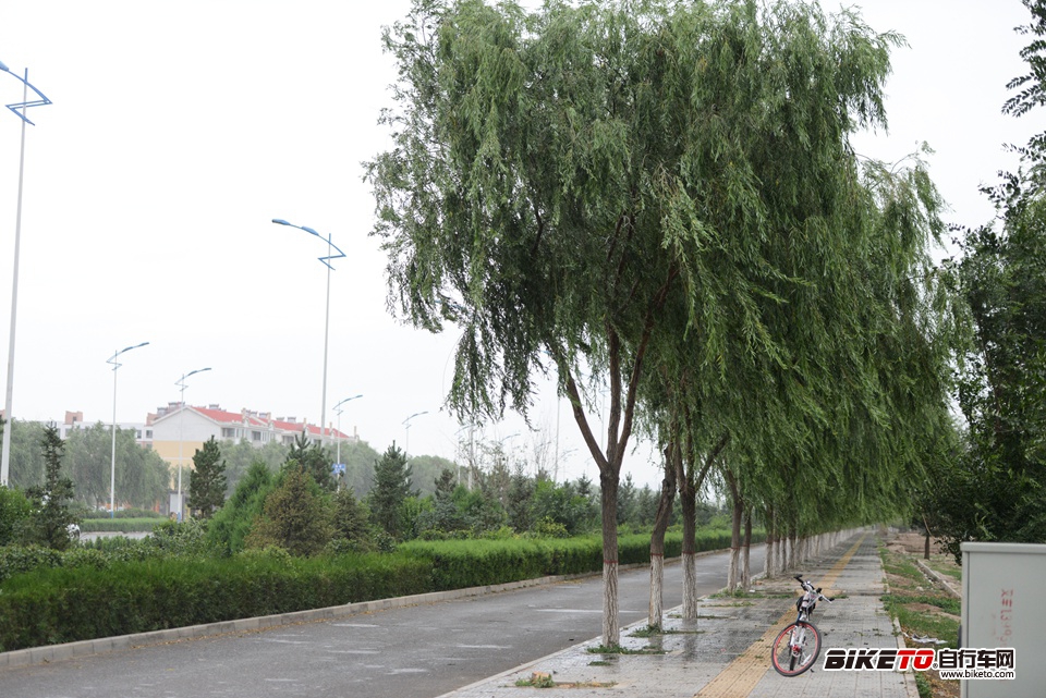 喜德盛杯丝绸之路2013day3 (23).jpg