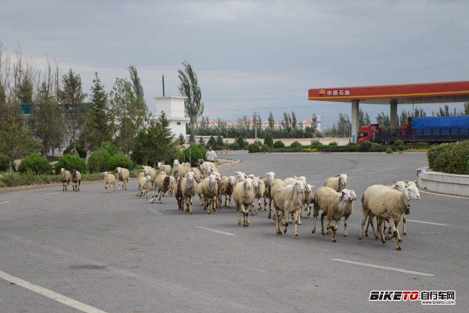 喜德盛杯丝绸之路2013day3 (27).jpg