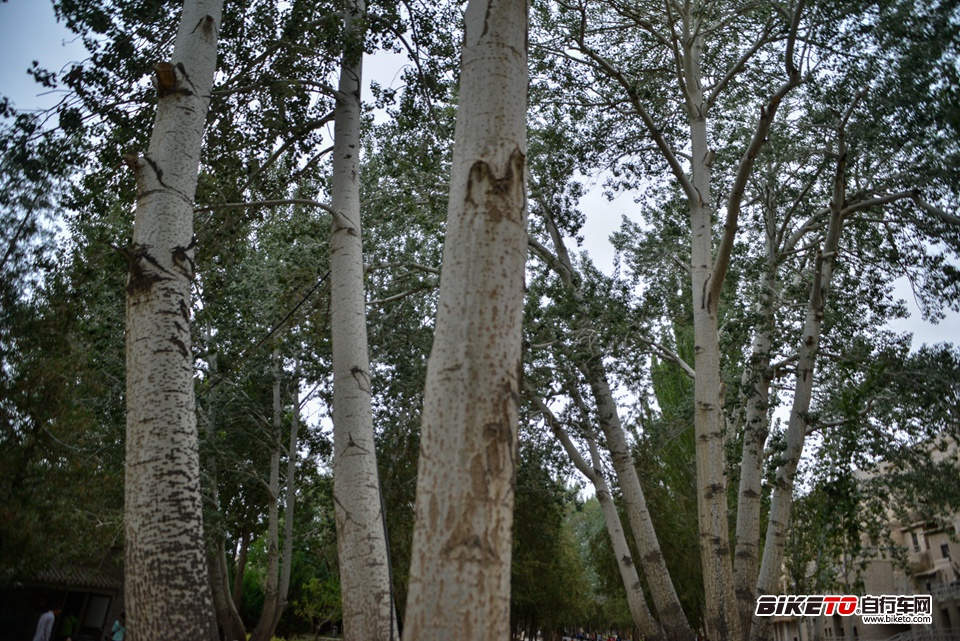 喜德盛丝绸之路2013day8 (28).jpg