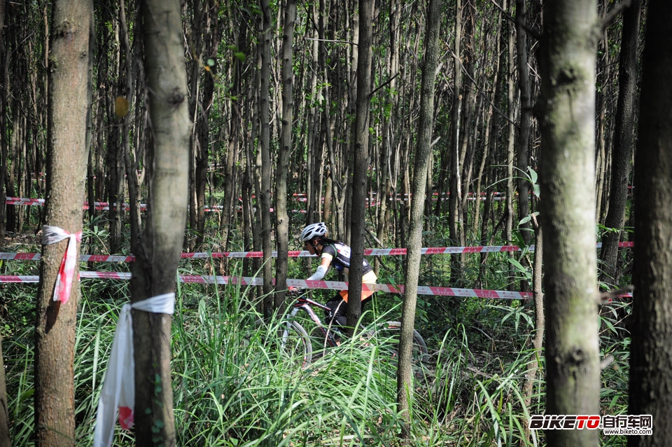 丰顺“喜德盛杯”,喜德盛自行车赛,全国自行车邀请赛,中国丰顺自行车赛