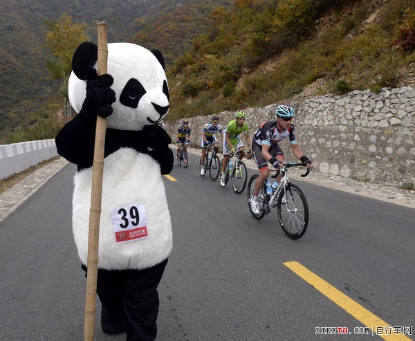 环京赛熊猫角,环京赛熊猫传奇,环京赛第三赛段