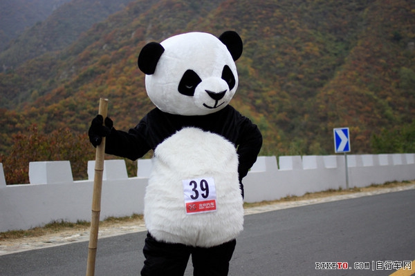 环京赛熊猫角,环京赛熊猫传奇,环京赛第三赛段