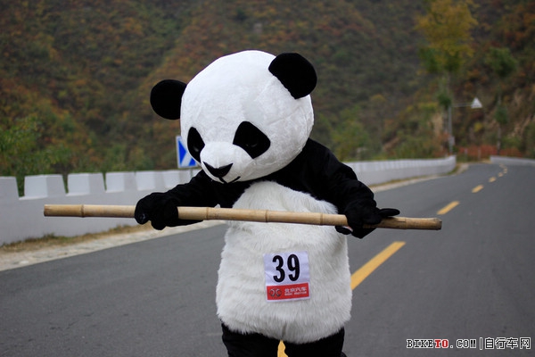 环京赛熊猫角,环京赛熊猫传奇,环京赛第三赛段