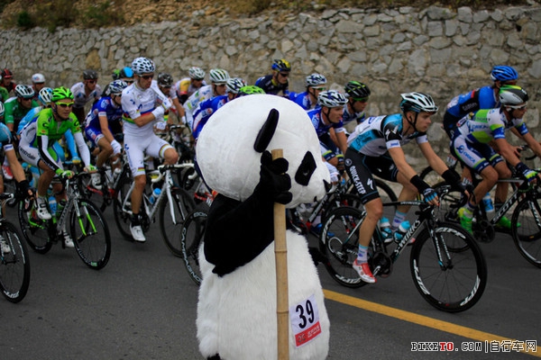 环京赛熊猫角,环京赛熊猫传奇,环京赛第三赛段