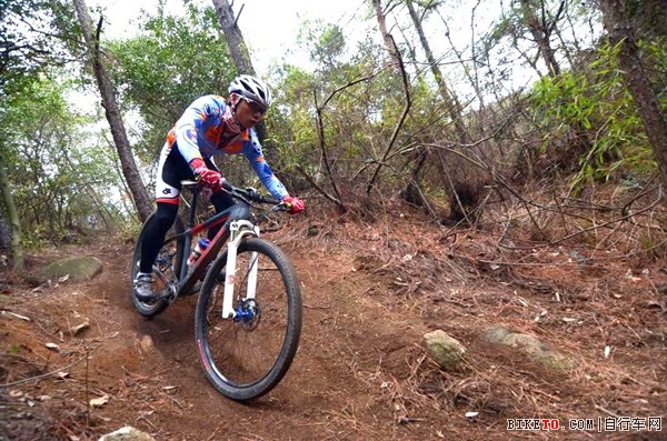 DSC_2446.jpg DSC_2446.jpg