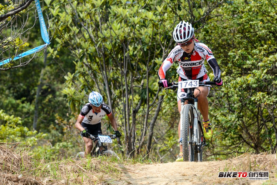 D80_3798.jpg D80_3798.jpg