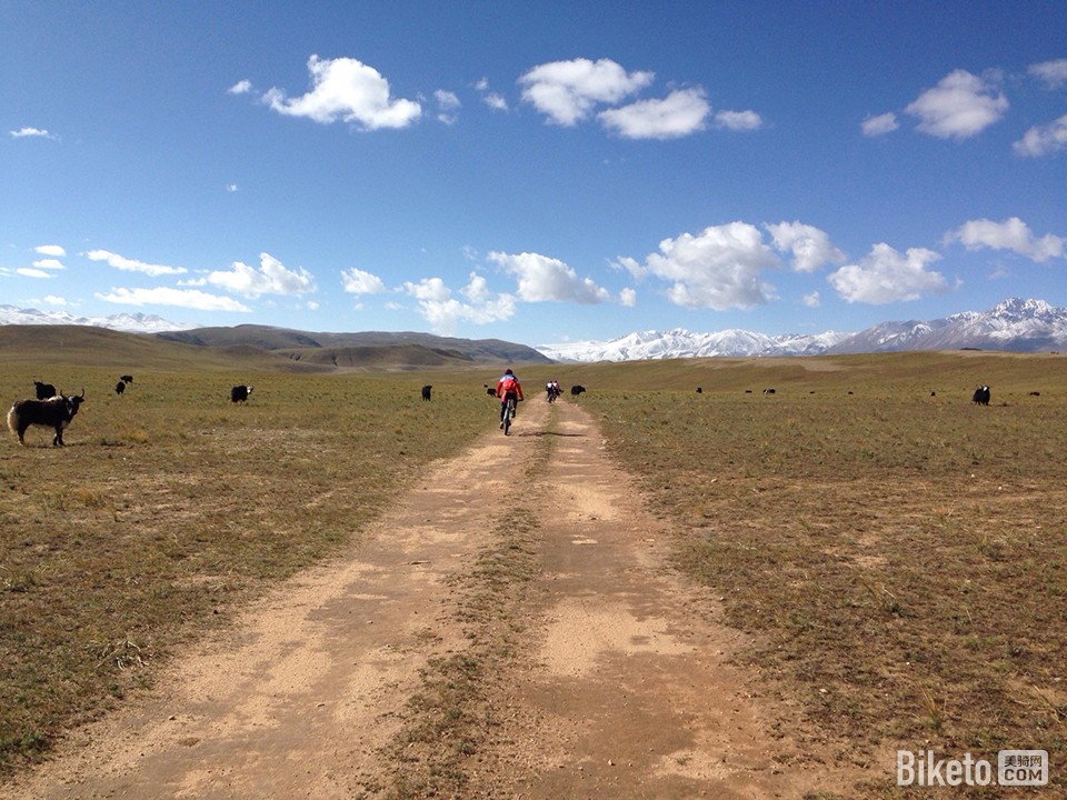 2014雪古拉峰自行车越野挑战赛 2014雪古拉峰自行车越野挑战赛