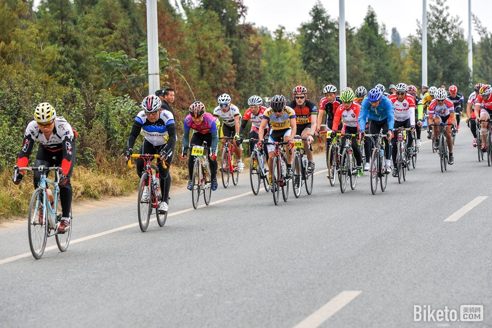 ߲ϸҶ2014վ (10).jpg