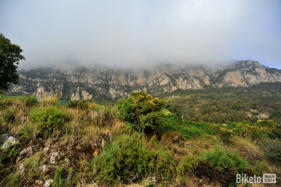 ߲ϸҶ2014վ (21).jpg