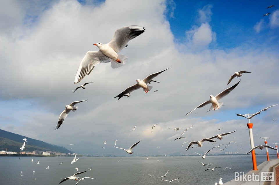 ߲ϸҶ2014վ (19).jpg