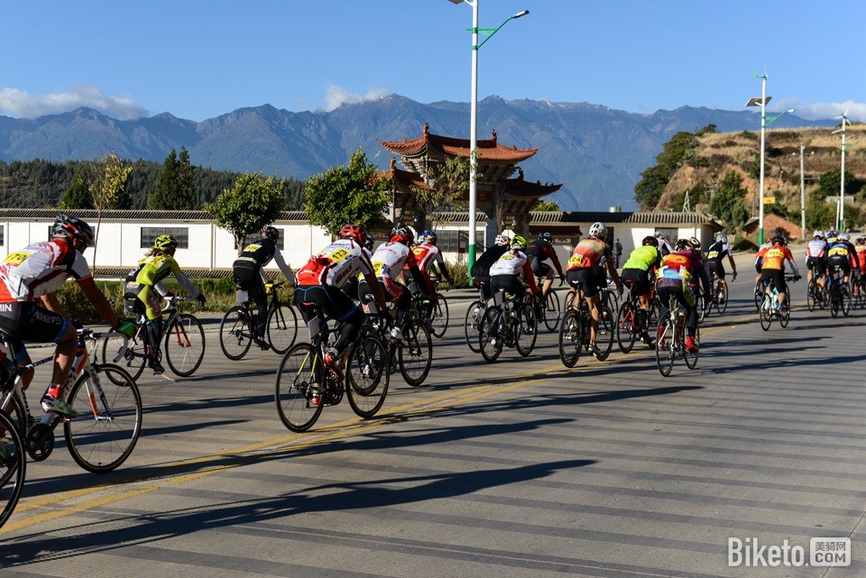 ߲ϸҶ2014վ (11).jpg