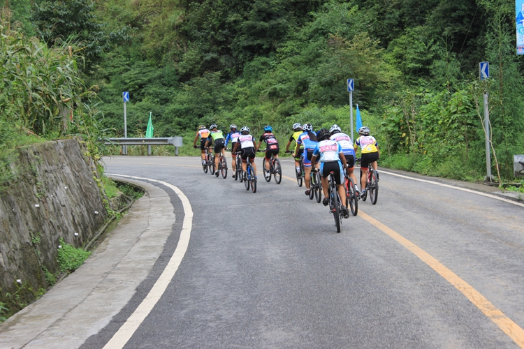 福玛特车迷嘉年华 福玛特车迷嘉年华