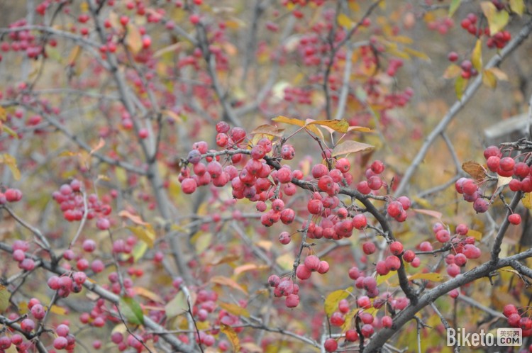 首届环北京业余公路自行车赛,环北京业余赛 首届环北京业余公路自行车赛,环北京业余赛
