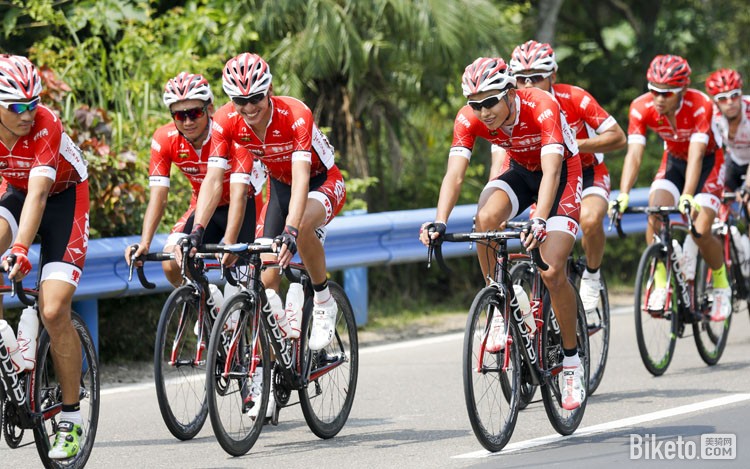 �����ϵ����ʹ�·���г���,ţ����,�Ҷ���