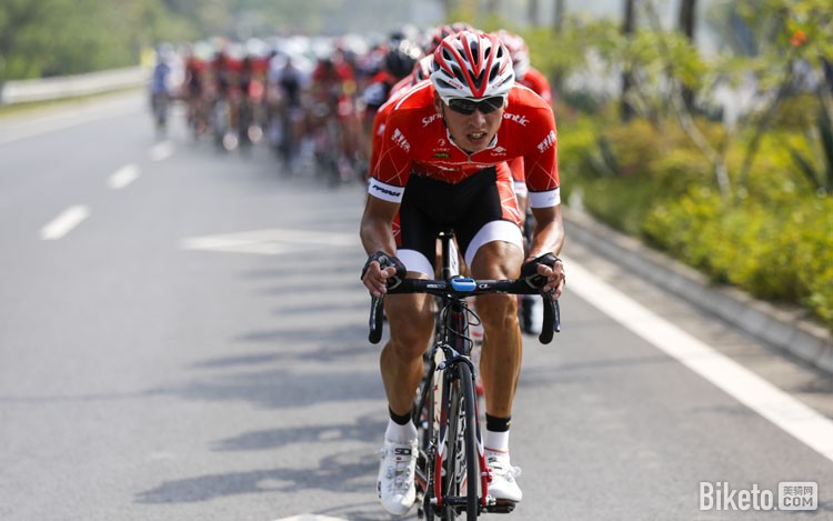 �����ϵ����ʹ�·���г���,ţ����,�Ҷ���,ɭ�ؿ�