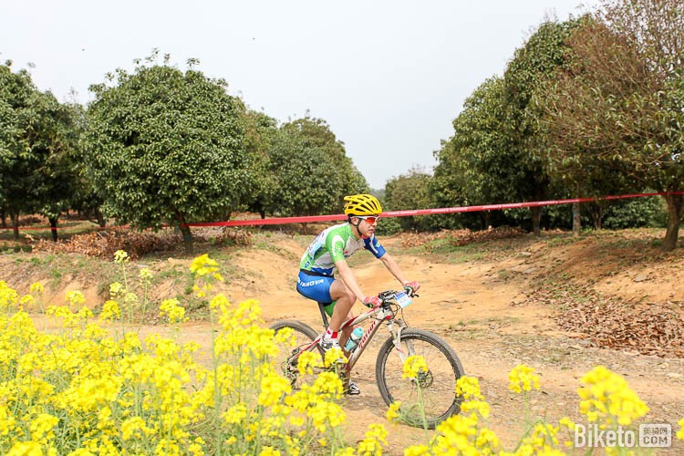 ���չ�·���г���,ɽ�����г�,ҵ�����г�����