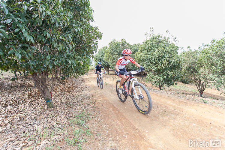 ���չ�·���г���,ɽ�����г�,ҵ�����г�����