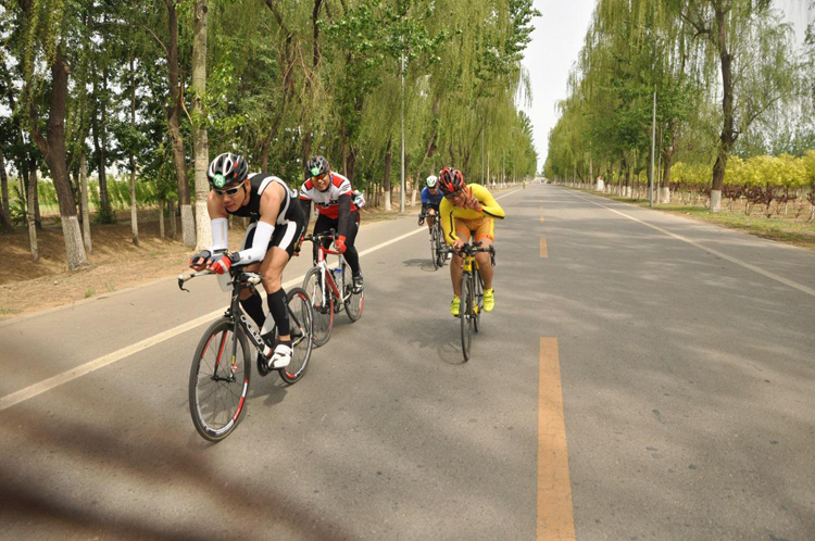 ������ҵ�๫·���г���,ҵ�๫·��,��·��