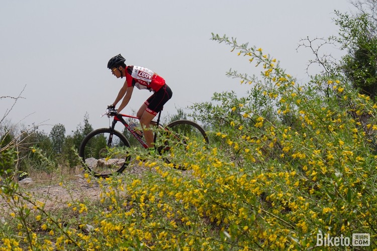 ȫ����УĽ��ɽɽ�ؽ�����