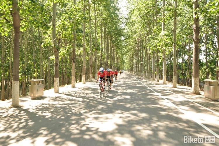 2016�ڶ��컷����ҵ�๫·���г����ڶ����������ʱ��