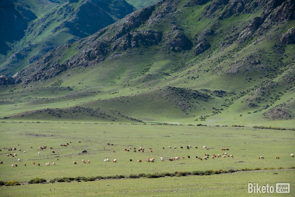 环赛里木湖,公路赛,第四赛段 环赛里木湖,公路赛,第四赛段