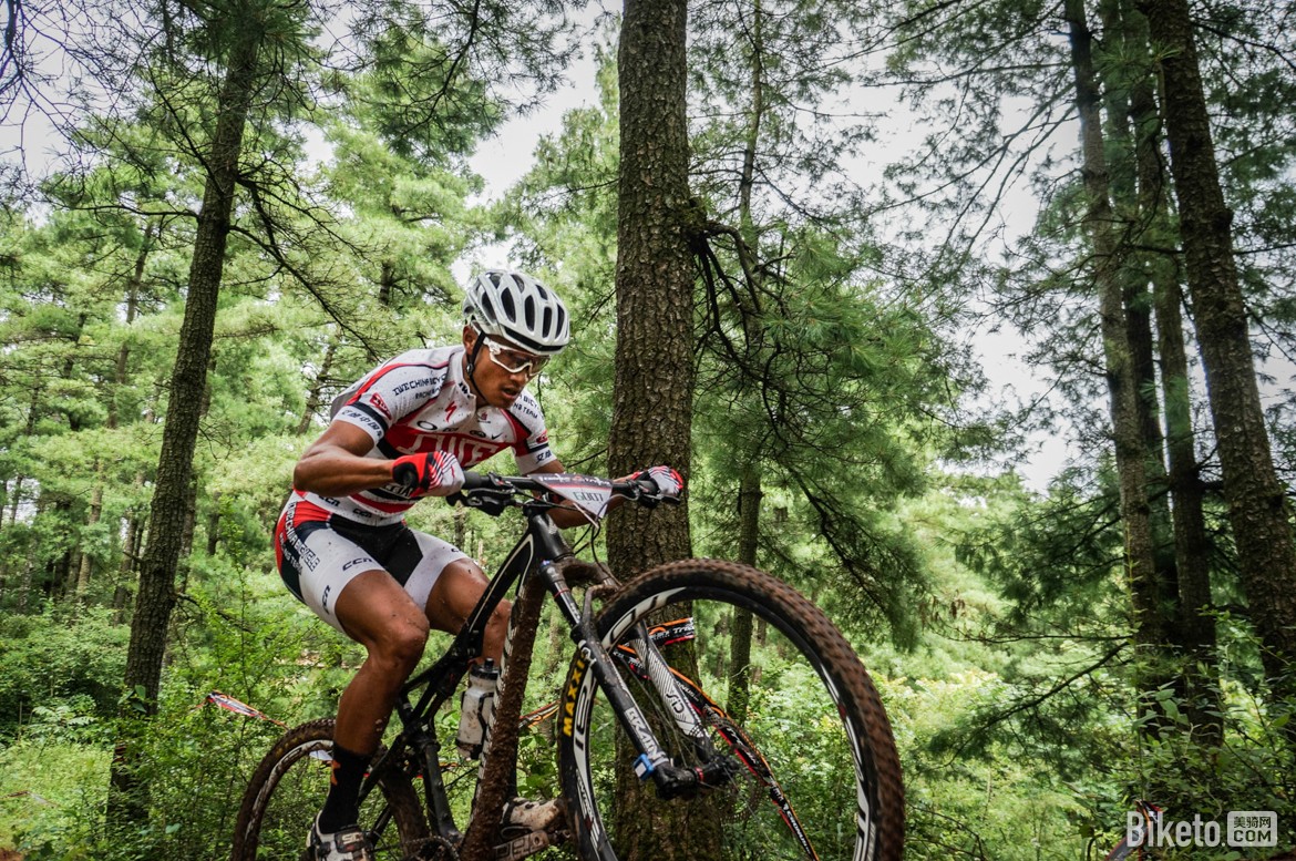 ��·�ˡ��ҷ�,ɽ�س�