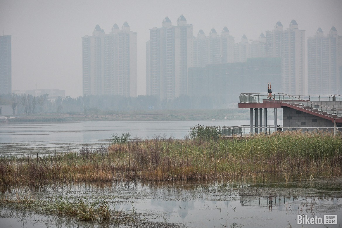 �ҷ�����