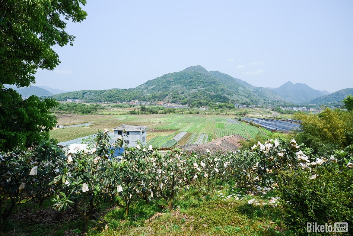 美骑100,福州 美骑100,福州