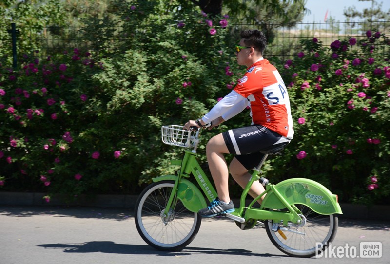 2017,������,���г�