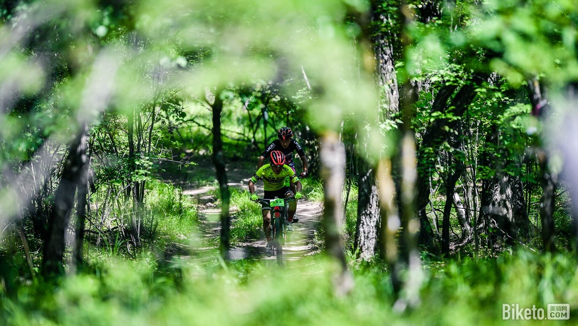 ��ֱ�����������г���������վ